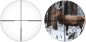 Preview: Professor Optiken Staffelsee - 1,5-15x42 LD V2 Leuchtfaser-Absehen 4